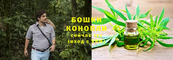 метадон Гусиноозёрск