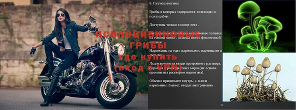 2c-b Гусь-Хрустальный