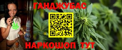 крисы Коммунар