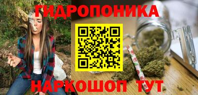 крисы Коммунар