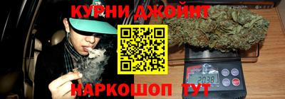 крисы Коммунар
