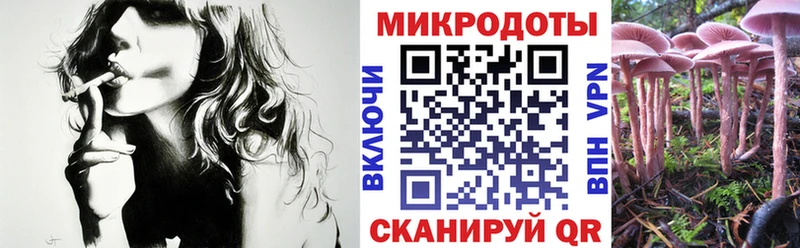 Галлюциногенные грибы GOLDEN TEACHER  Елизово 