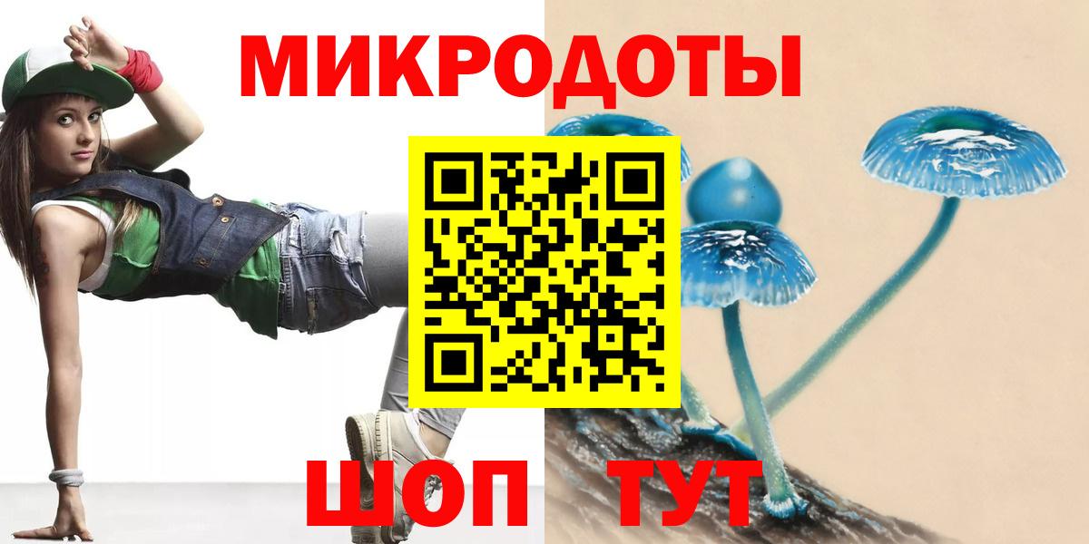 Елизово  как найти наркотики  Вход с VPN  Псилоцибиновые грибы Psilocybe 