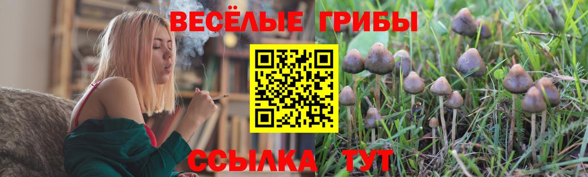 МЕТАДОН Елизово