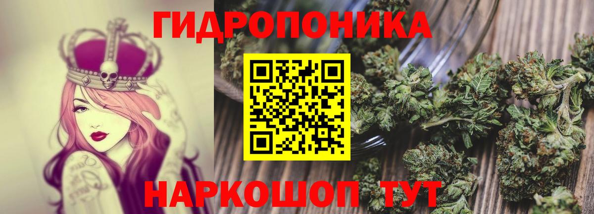 Шишки марихуана планчик  МАРИХУАНА гибрид  Конопля план  Елизово  Вход с VPN 